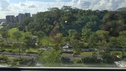 Blk 450D West Terra @ Bukit Batok (Bukit Batok), HDB 2 Rooms #586362471